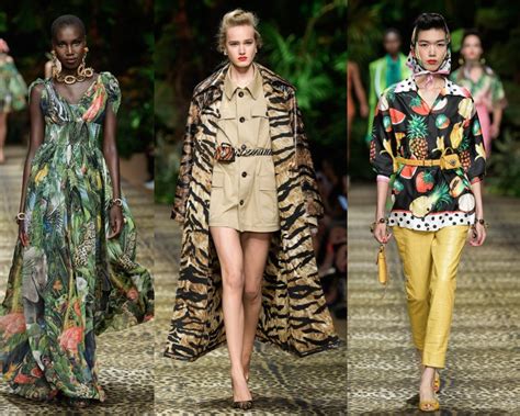 dolce and gabbana jungle